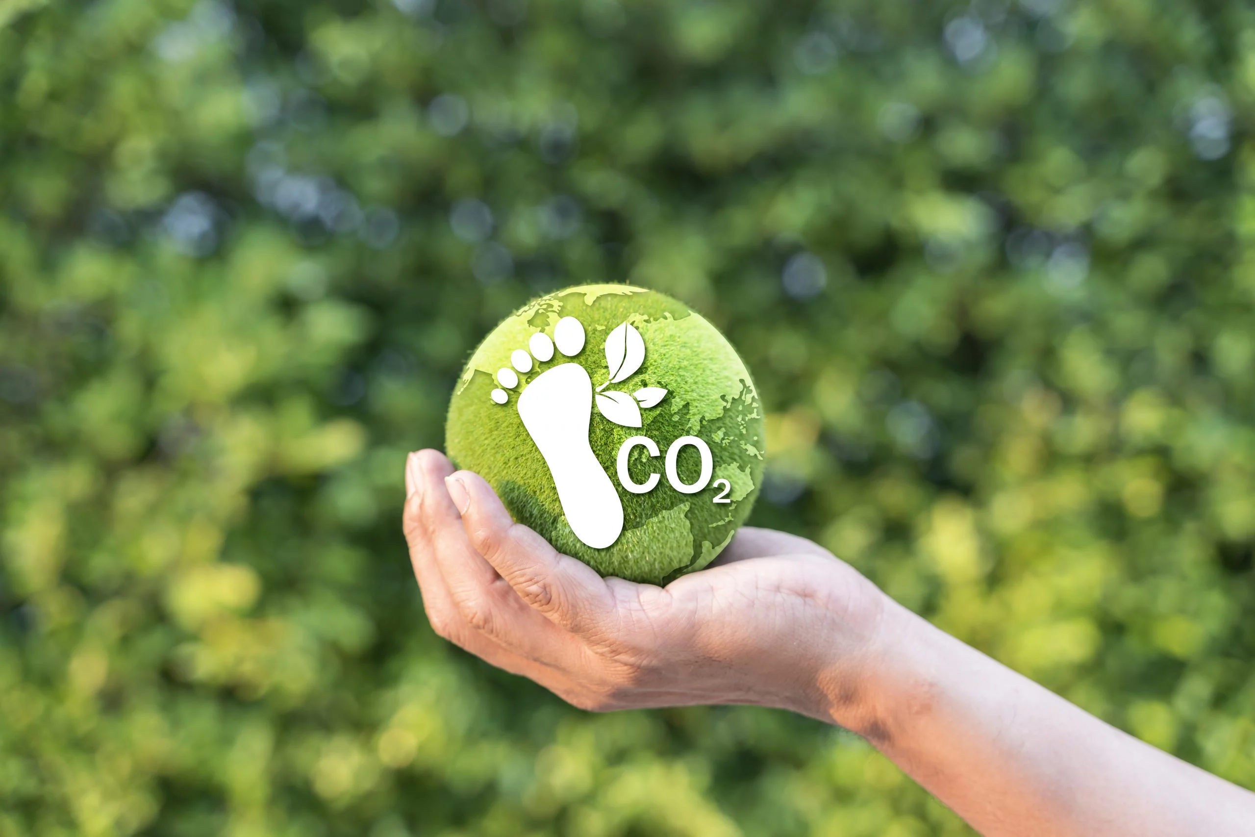 Huella de carbono: qué es y cómo reducirla en tu empresa